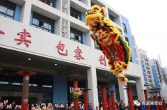 醒狮贺岁，开云官方端网站登录入口-开云online(中国)2019年开工大吉